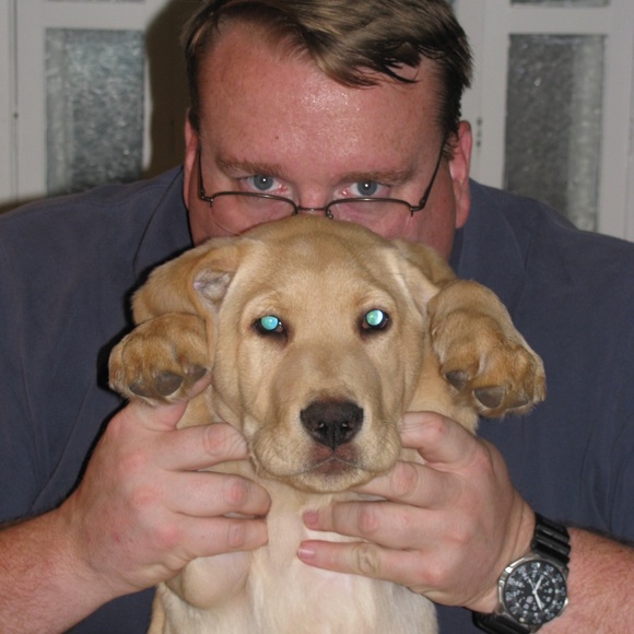 Meet your Posher, Philip - Picture 3 of 4